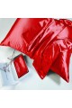 Μεταξωτή Μαξιλαροθήκη Φάκελος (50x76) Down Town Mulberry Silk Red