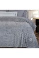 Κουβέρτα Fleece Υπέρδιπλη (220x240) Greenwich Polo Club Essential 3476 Grey